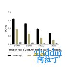 Goat Anti-Rabbit IgG H&L Antibody