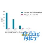 Rabbit Anti-Mouse IgG H&L (HRP)