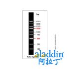 Gelred-prestained DNA Ladder (100-5000bp)