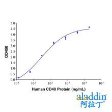 Recombinant Human CD40 Protein