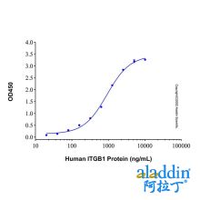 Recombinant Human CD98 Protein