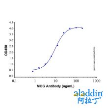 Recombinant Human MOG Protein
