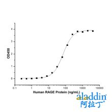 Recombinant Human RAGE Protein