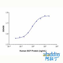Recombinant Human SCF Protein