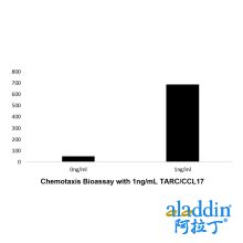 Recombinant Human TARC/CCL17 Protein
