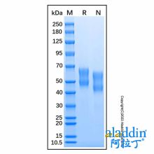 Recombinant Mouse IL-6R alpha Protein