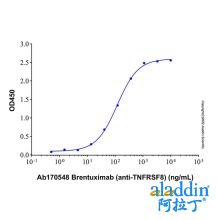 Recombinant Human CD30/TNFRSF8 Protein