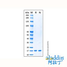 Recombinant Human Cystatin C Protein