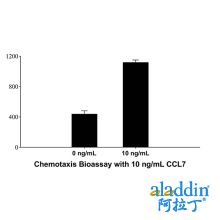 Recombinant Human  CCL7/MCP-3 Protein