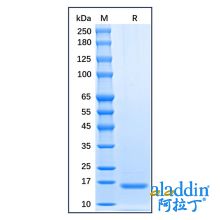 Recombinant Human TSLP Protein
