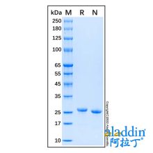 Recombinant Human FGF-21 Protein