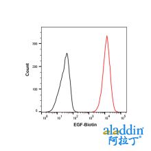 Recombinant Human EGF Protein (Biotin)