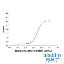 Recombinant Human Mesothelin Protein
