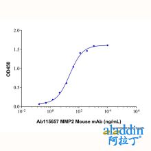 Recombinant Human MMP-2 Protein