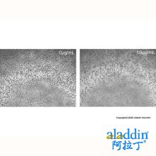 Recombinant Human NCAM-1/CD56 Protein