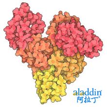 牛血清白蛋白