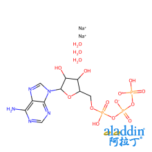 5'-三磷酸腺苷二钠盐 三水合物