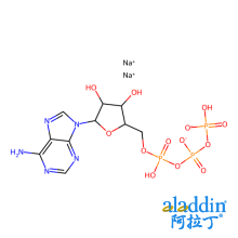 5’-三磷酸腺苷（ATP）二钠盐纯度标准物质