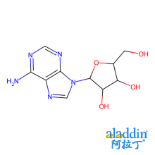 腺嘌呤核苷