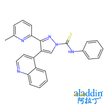 83-01（DMSO溶液