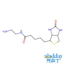 生物素-EDA