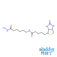 生物素-LC-酰肼