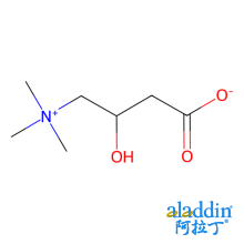 左旋肉碱