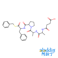 羧肽酶B 来源于猪胰腺