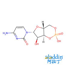 胞苷-3ˊ,5ˊ-环一磷酸