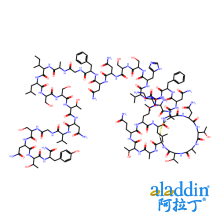 糖尿病相关肽(胰岛淀粉样肽)