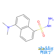 丹磺酰肼