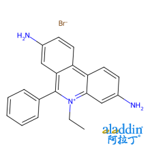 溴化乙锭(EB)
