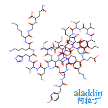 β－内啡肽,鼠
