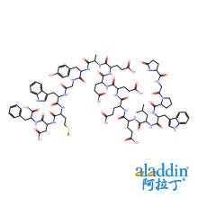 Gastrin Ⅰ, 人