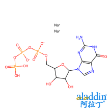 鸟苷-5'-三磷酸二钠盐