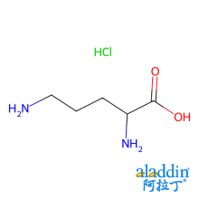 L -鸟氨酸 单盐酸盐