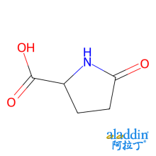 L-焦谷氨酸