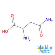 L-天冬酰胺