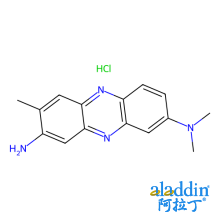 中性红