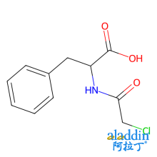 N-氯乙酰基-DL-苯丙氨酸