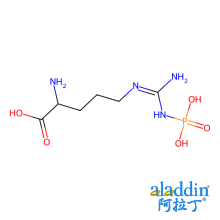 N-磷酸- L -精氨酸锂盐水合物