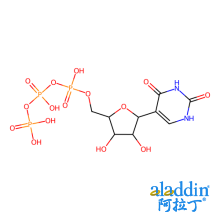 Pseudo UTP 三钠盐 溶液