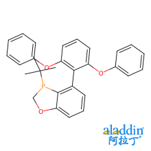 （R）-3-（叔丁基）-4-（2,6-二苯氧基苯基）-2,3-二氢苯并[d] [1,3]氧杂磷杂环戊烯