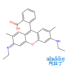 罗丹明19