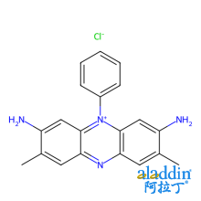 藏红T