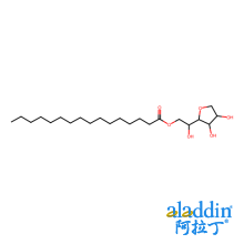 司班40