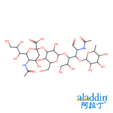 唾液酸化酶X