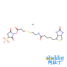 磺基-NHS-SS-生物素
