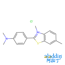 硫黄素T