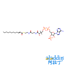 2-反-十二烯酰基-Co A